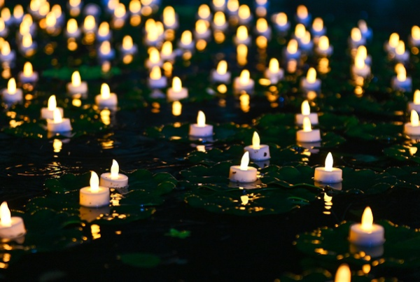 20200416_170159_004.png